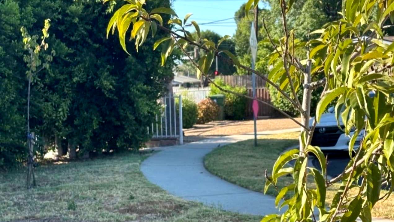The front walk and garden