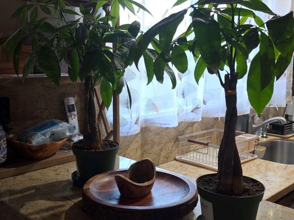 Small touches around the house